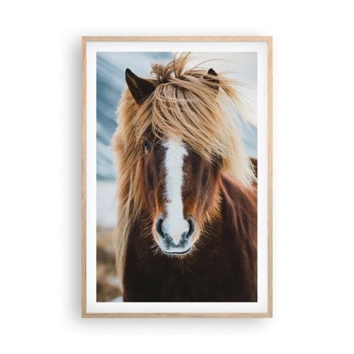 Plakat w ramie jasny dąb - Czujesz wolność? - 61x91 cm