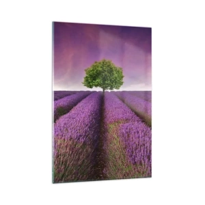 Obraz na szkle - Pole lawendy z samotnym drzewem i fioletowym niebem - 80x120cm - Na lawendowych polach - Nowoczesna dekoracja ścienna do salonu i sypialni ARTTOR