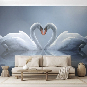 Fototapeta Standard Eco - Czas na miłość - Łabędzie, Miłość, Serce - 300x210 cm