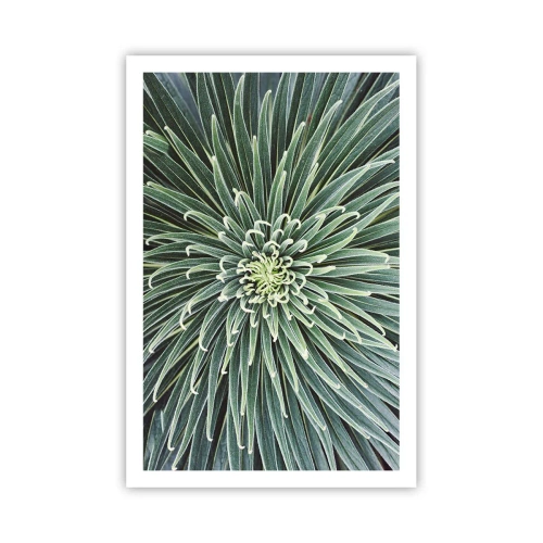 Plakat - Narodziny gwiazdy - 61x91 cm