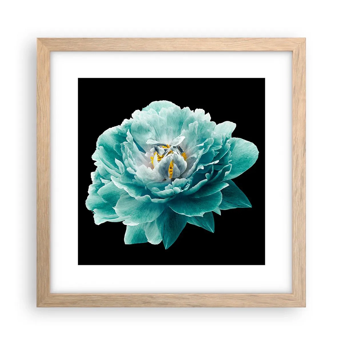 Plakat w ramie jasny dąb - Płatki błękitne i złote - 30x30 cm