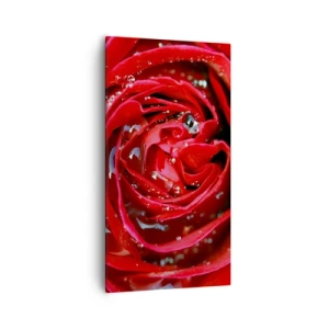 Obraz na płótnie - W kroplach rosy - 55x100 cm