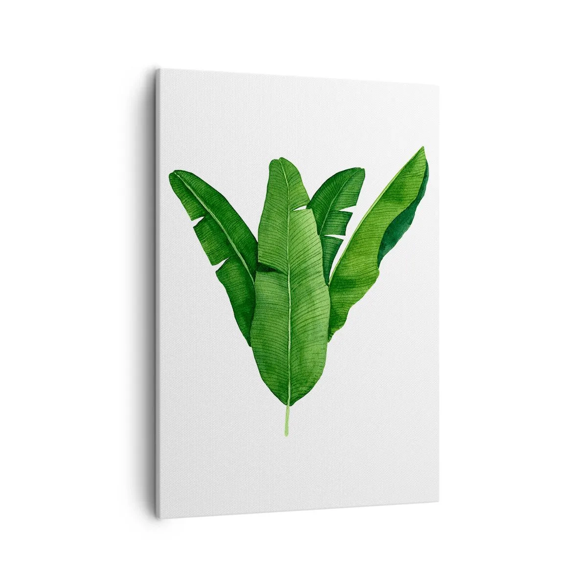 Obraz na płótnie - Akwarelowa ilustracja liści bananowca na jasnym tle - 50x70cm - Zielona symetria - Nowoczesna dekoracja ścienna do salonu, kuchni i sypialni ARTTOR