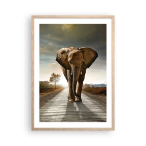 Plakat w ramie jasny dąb - I wcale nie w składzie porcelany - 50x70 cm