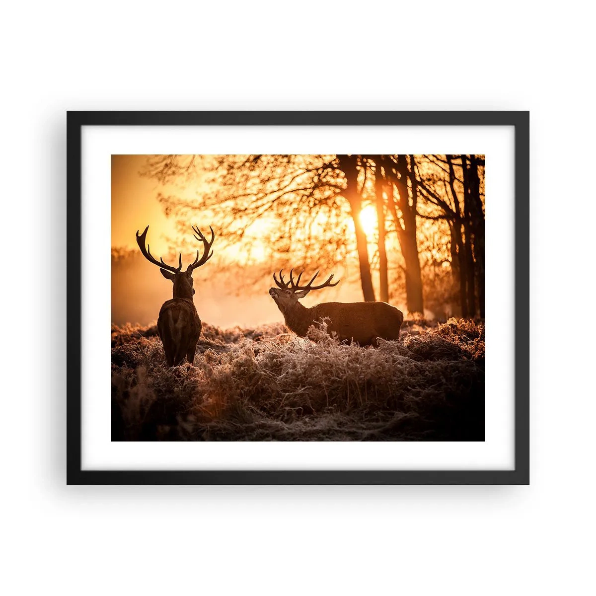 Plakat w czarnej ramie - Marzenie myśliwego - 50x40 cm