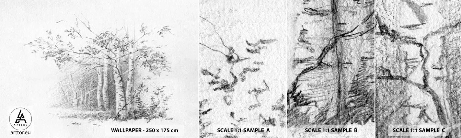 Fototapeta Próbka Samoprzylepna Deluxe Sticker - Światło brzozowego lasu - Las, Brzoza, Drzewa - 100x30 cm