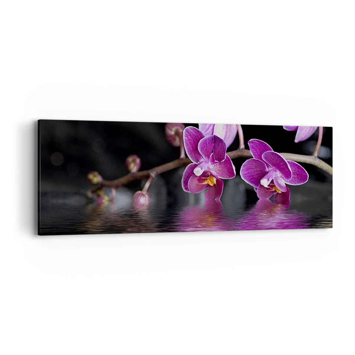 Obraz na płótnie - Liliowe odbicie piękna - 90x30 cm