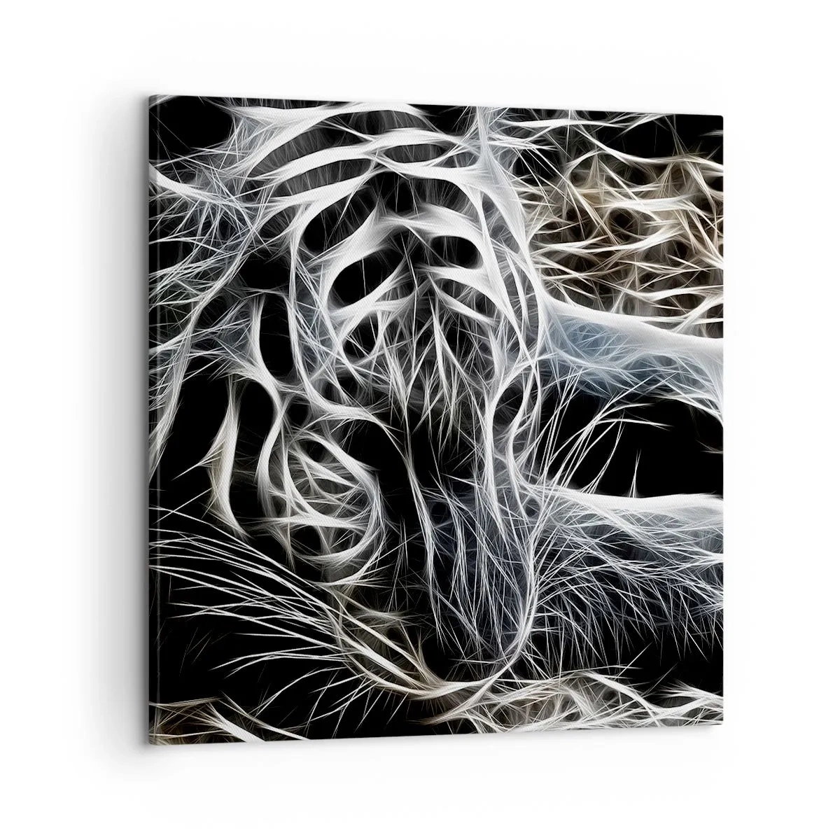 Obraz na płótnie - Studium kociej lekkości - 60x60 cm