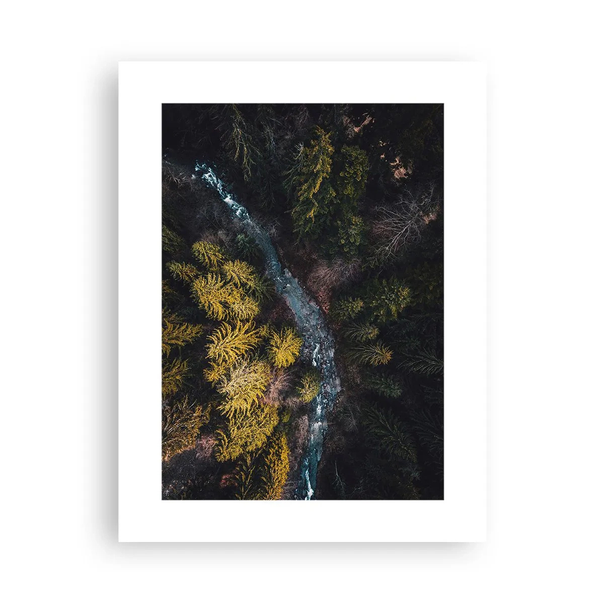 Plakat - Szybko, coraz szybciej - 30x40 cm