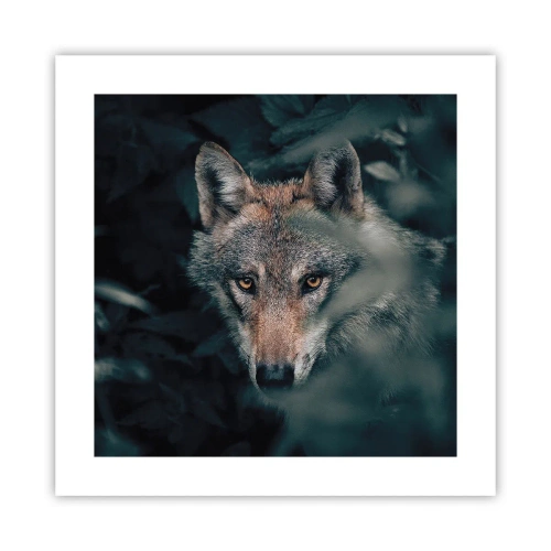 Plakat - Łowca - 40x40 cm