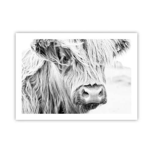 Plakat - Szkocka dzikość - 70x50 cm