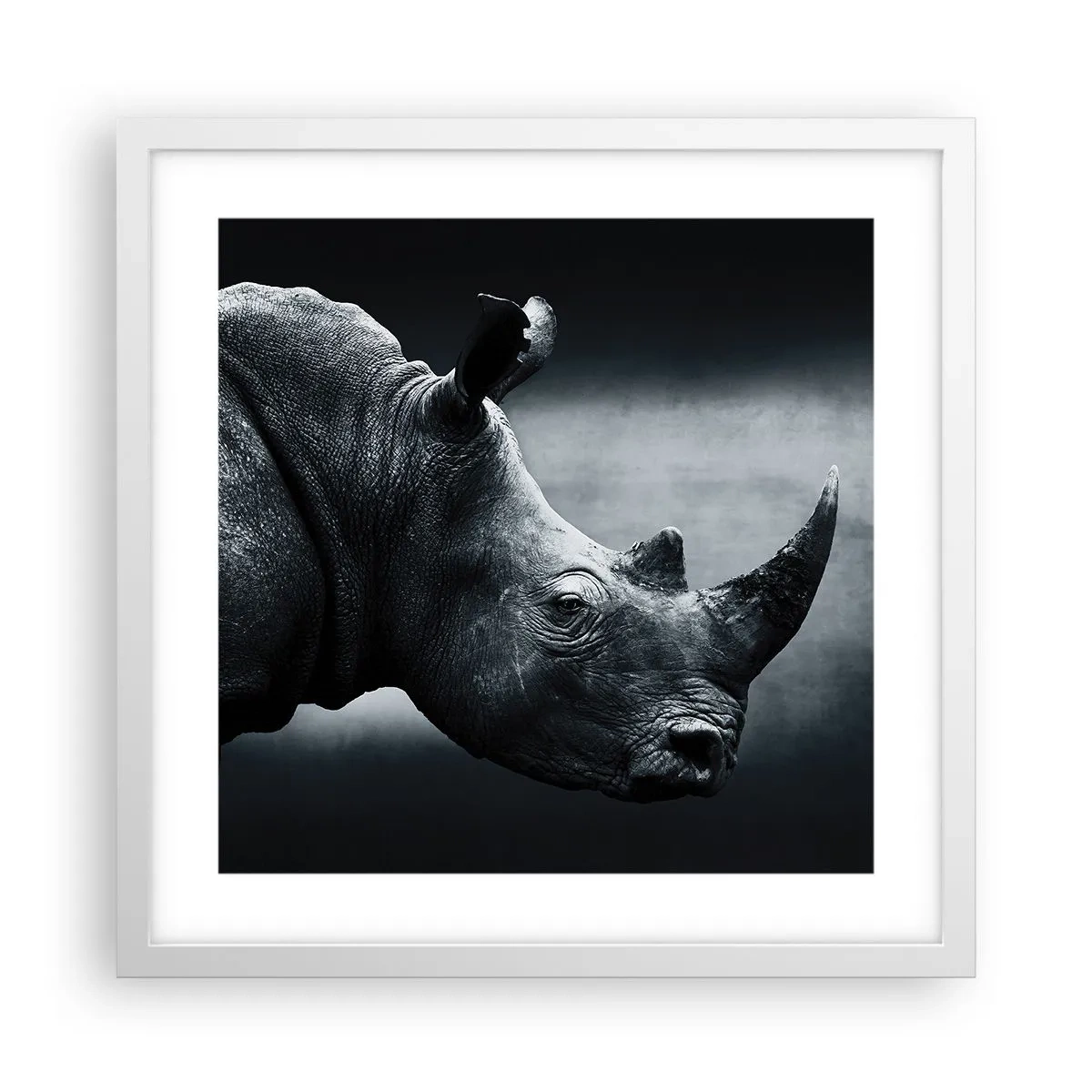 Plakat w białej ramie - Prawy profil - 40x40 cm