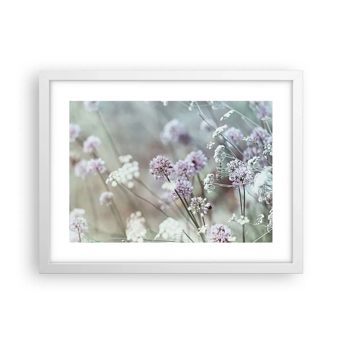 Plakat w białej ramie - Słodkie filigrany ziół - 40x30 cm