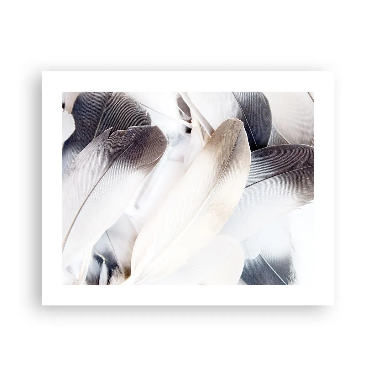 Plakat - Niemal anielskie - 50x40 cm