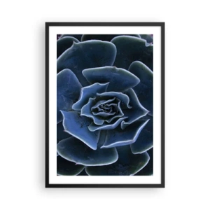 Plakat w czarnej ramie - Artystyczne zbliżenie na geometryczny wzór sukulentu - 50x70cm - Kwiat pustyni - Nowoczesna dekoracja ścienna do salonu i sypialni ARTTOR