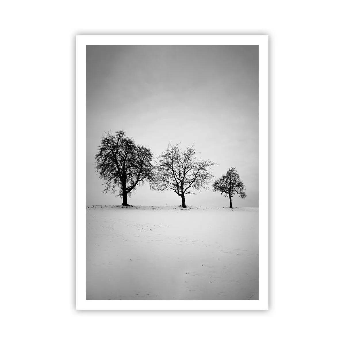 Plakat - O czym śnią? - 70x100 cm