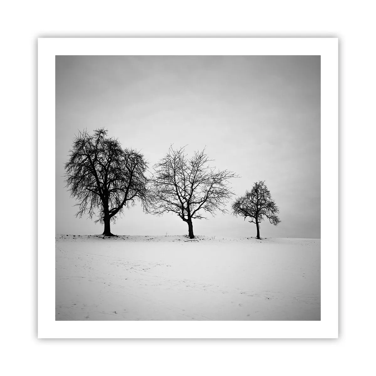 Plakat - O czym śnią? - 60x60 cm