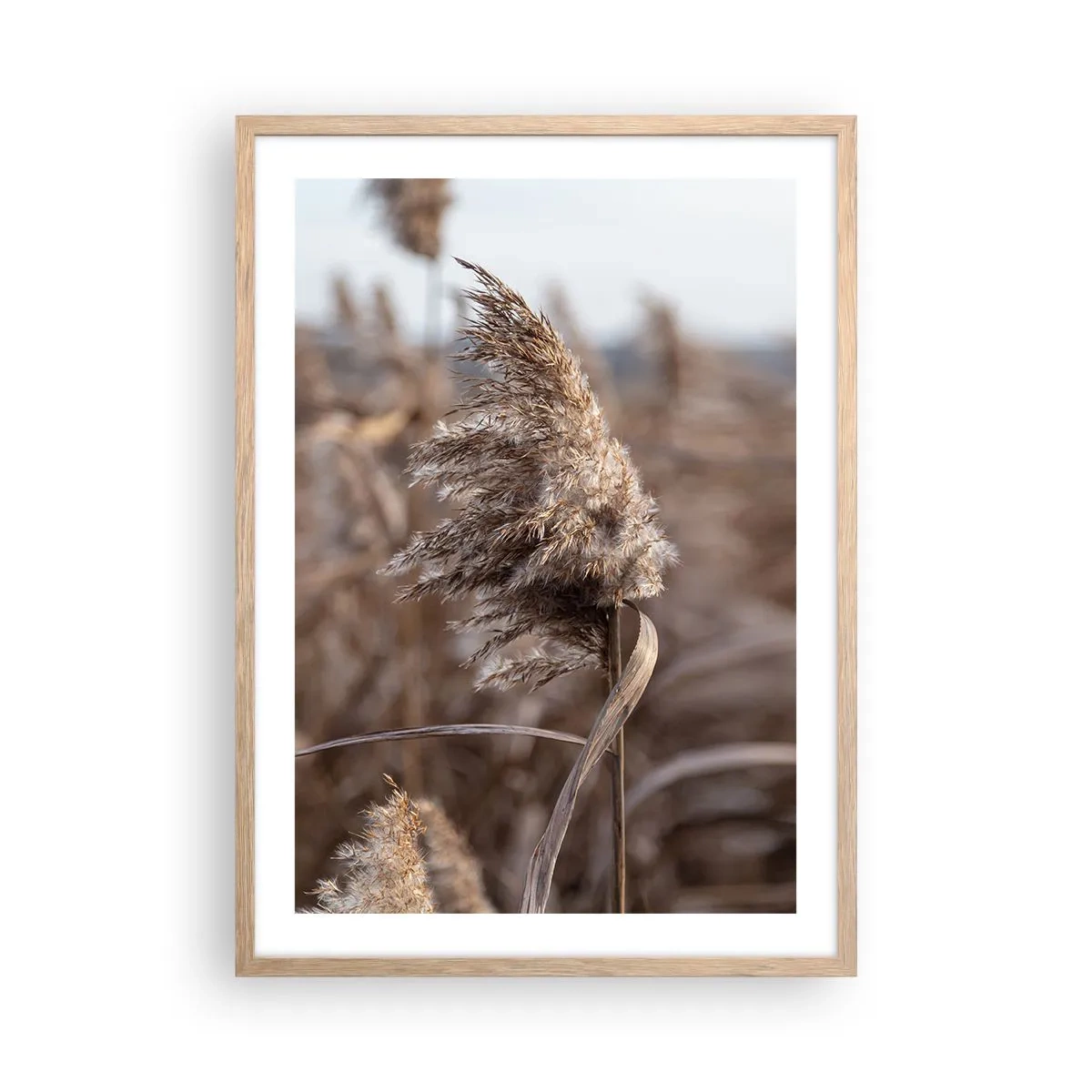 Plakat w ramie jasny dąb - Czas odlecieć z wiatrem - 50x70 cm