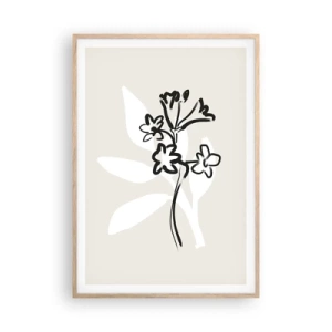 Plakat w ramie jasny dąb - Szkic do zielnika - 70x100 cm