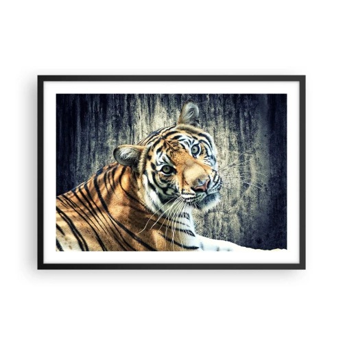 Plakat w czarnej ramie - Tygrys leżący na tle surowej tekstury ściany - 70x50cm - Portret w strugach światła - Nowoczesna dekoracja ścienna do salonu i sypialni ARTTOR