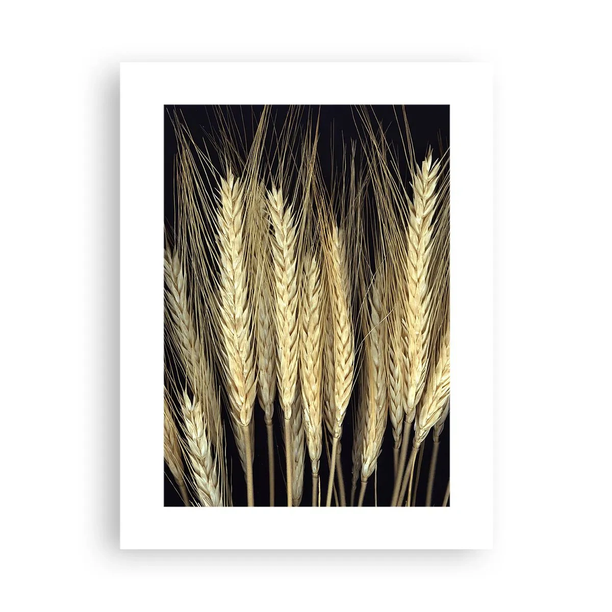 Plakat - Rustykalna magia - 30x40 cm