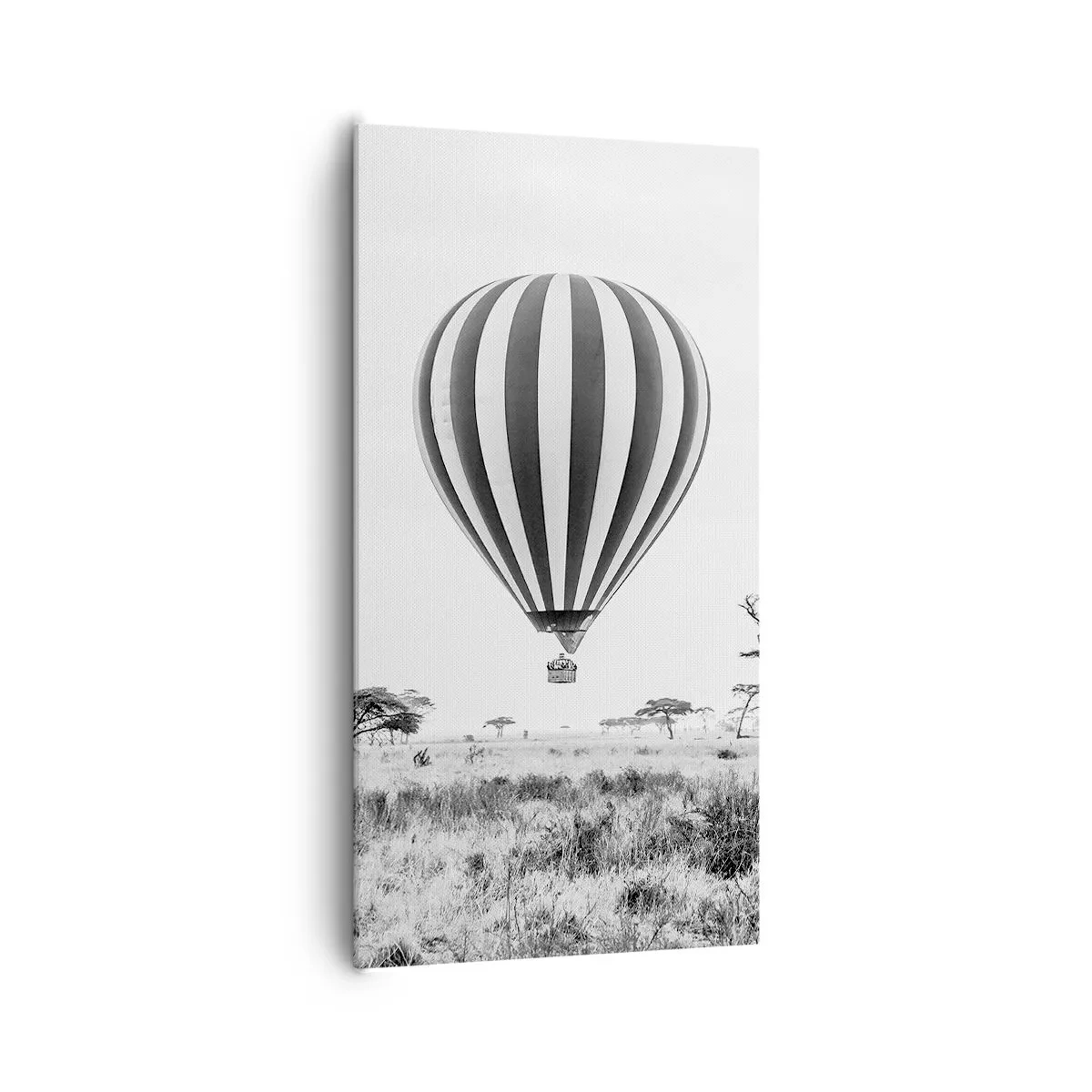 Obraz na płótnie - Nad sawanną - 65x120 cm