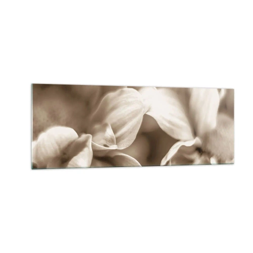 Obraz na szkle - Zbliżenie kwiatów w delikatnej sepii o miękkich konturach - 140x50cm - Łagodne jak uśmiech - Nowoczesna dekoracja ścienna do salonu i sypialni ARTTOR