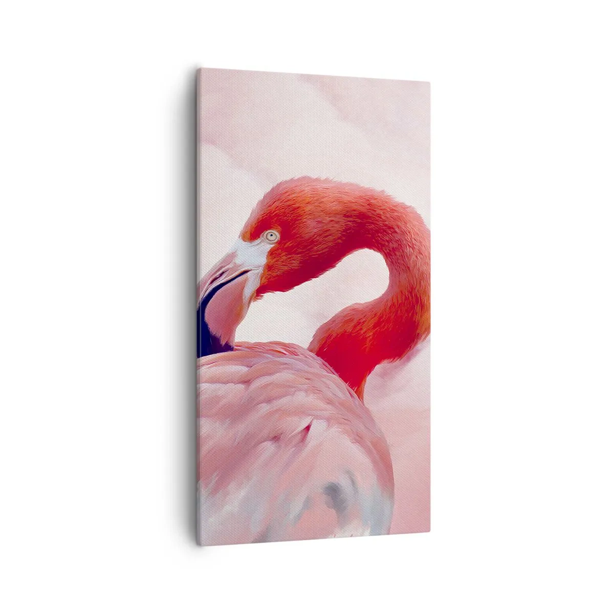 Obraz na płótnie - Ptasia uroda - 55x100 cm