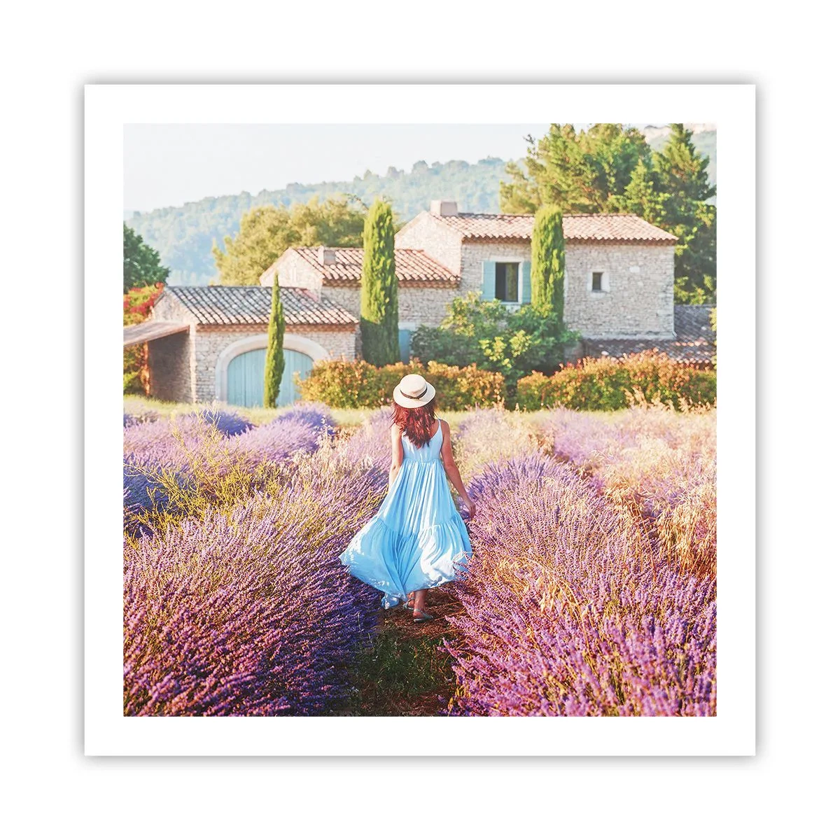 Plakat - Lawendowa dziewczyna - 60x60 cm