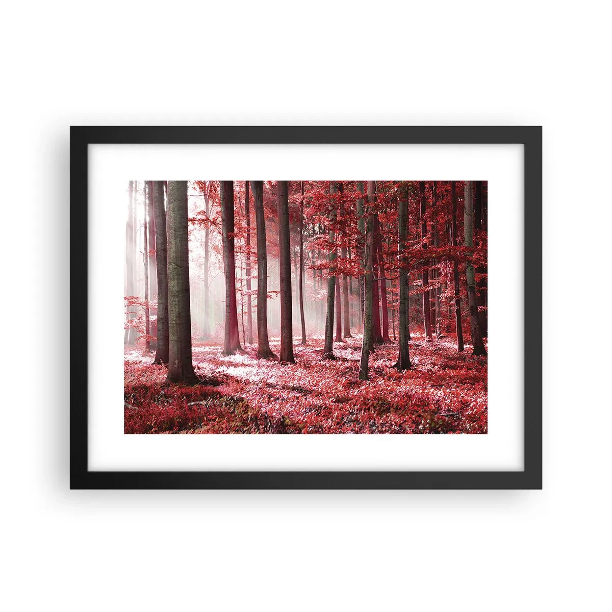 Plakat w czarnej ramie - Czerwony równie piękny - 40x30 cm