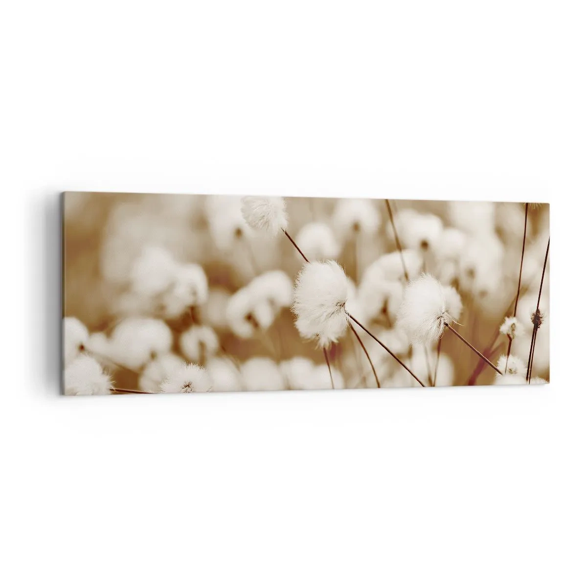 Obraz na płótnie - Pole delikatnych roślin w odcieniach sepia - 140x50cm - Puszysty łan - Nowoczesna dekoracja ścienna do salonu i sypialni ARTTOR