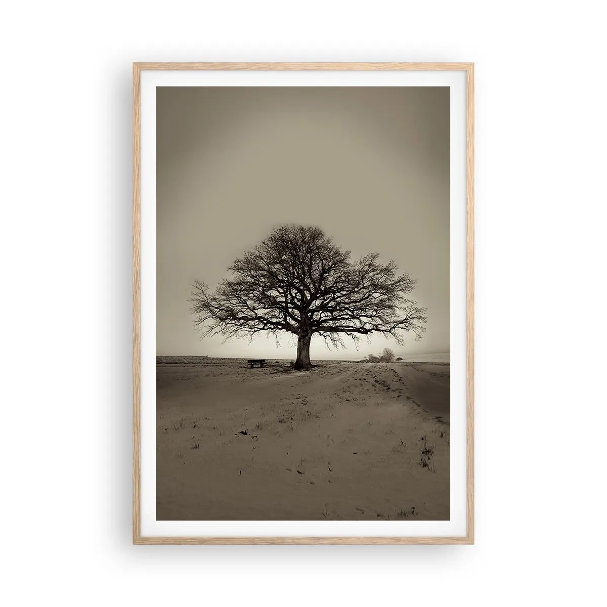 Plakat w ramie jasny dąb - Stąd do wieczności - 70x100 cm