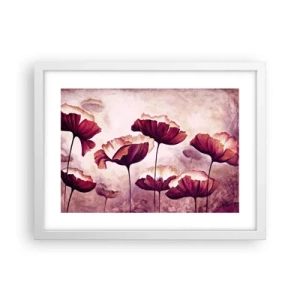Plakat w białej ramie - Płatek czerwony i biały - 40x30 cm