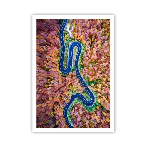 Plakat - Krętą drogą poprzez las - 70x100 cm