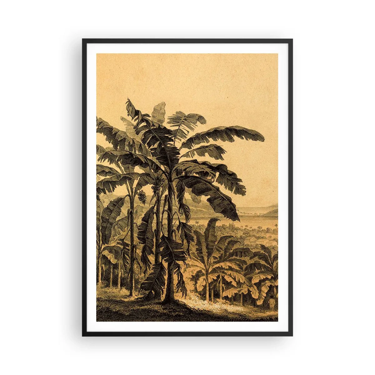 Plakat w czarnej ramie - w kolonialnym klimacie - 70x100 cm
