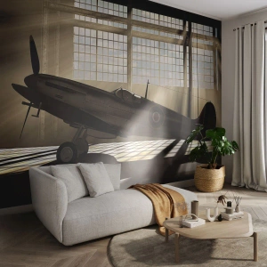 Fototapeta Standard Eco - Odpoczynek wojownika - Lotnictwo, Hangar Lotniczy, Samolot - 400x280 cm