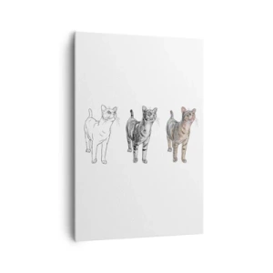 Obraz na płótnie - Ewolucja rysunku kota od szkicu do kolorowej formy - 70x100cm - Lekcja rysunku - Nowoczesna dekoracja ścienna do salonu i sypialni ARTTOR