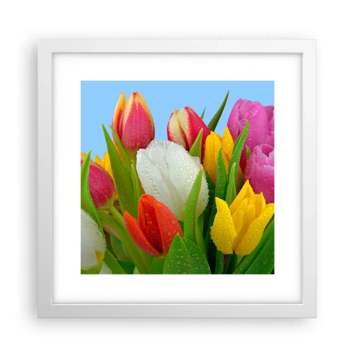 Plakat w białej ramie - Kwiatowa tęcza w kroplach rosy - 30x30 cm