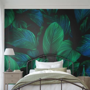 Fototapeta Standard Eco - W zielonym tłumie - Zielone Liście, Roślina Tropikalna, Natura - 350x256 cm