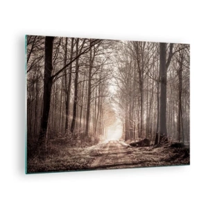 Obraz na szkle - Leśna droga w porannej mgle - 70x50cm - Leśna katedra - Nowoczesna dekoracja ścienna do salonu i sypialni ARTTOR