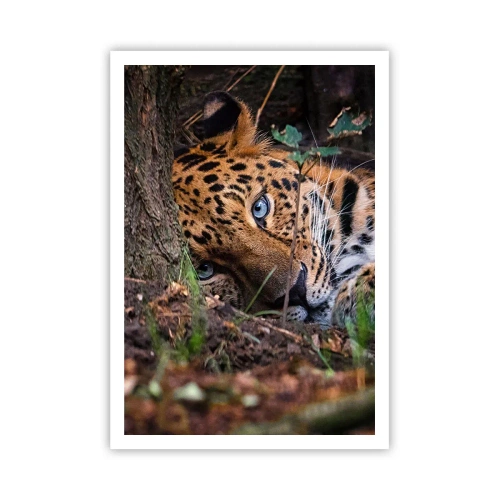 Plakat - Zaufaj mi - 70x100 cm