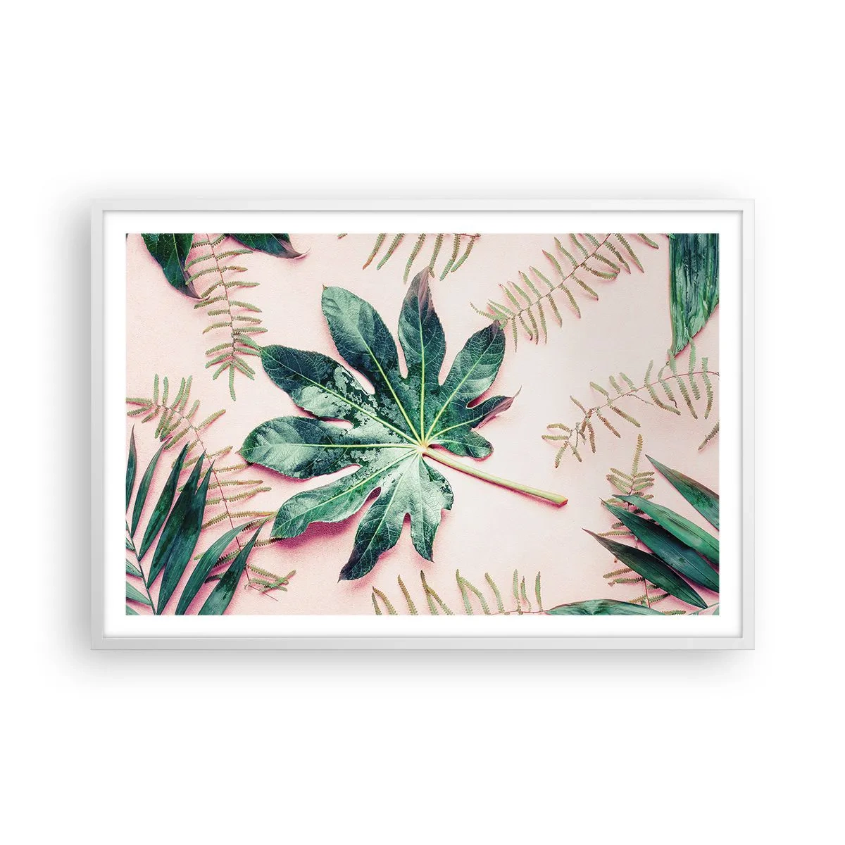 Plakat w białej ramie - Studium zieleni na różowym tle - 91x61 cm