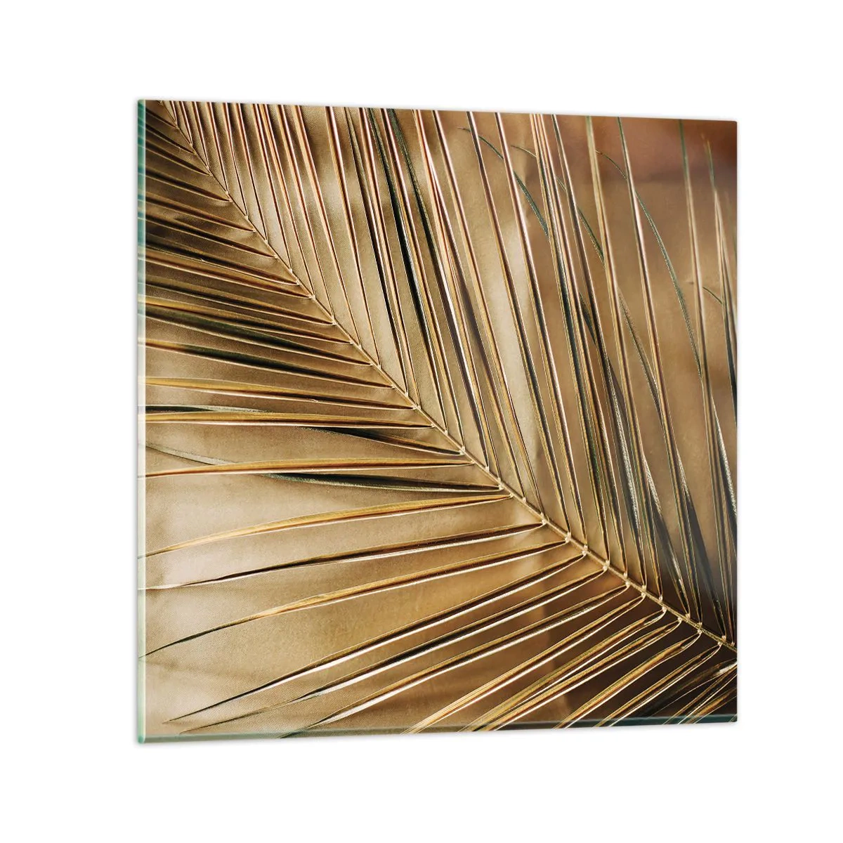Obraz na szkle - Naturalna kolumnada - 50x50 cm