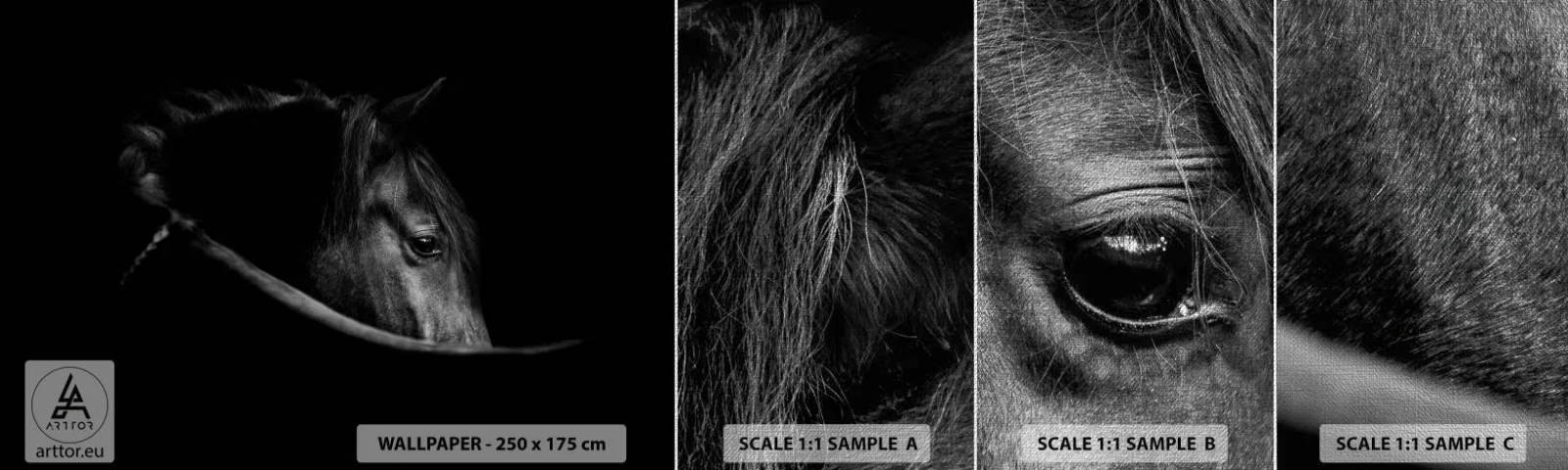 Fototapeta Próbka Premium Canvas - Czarny książę - Koń, Zwierzę, Artystyczny - 100x30 cm