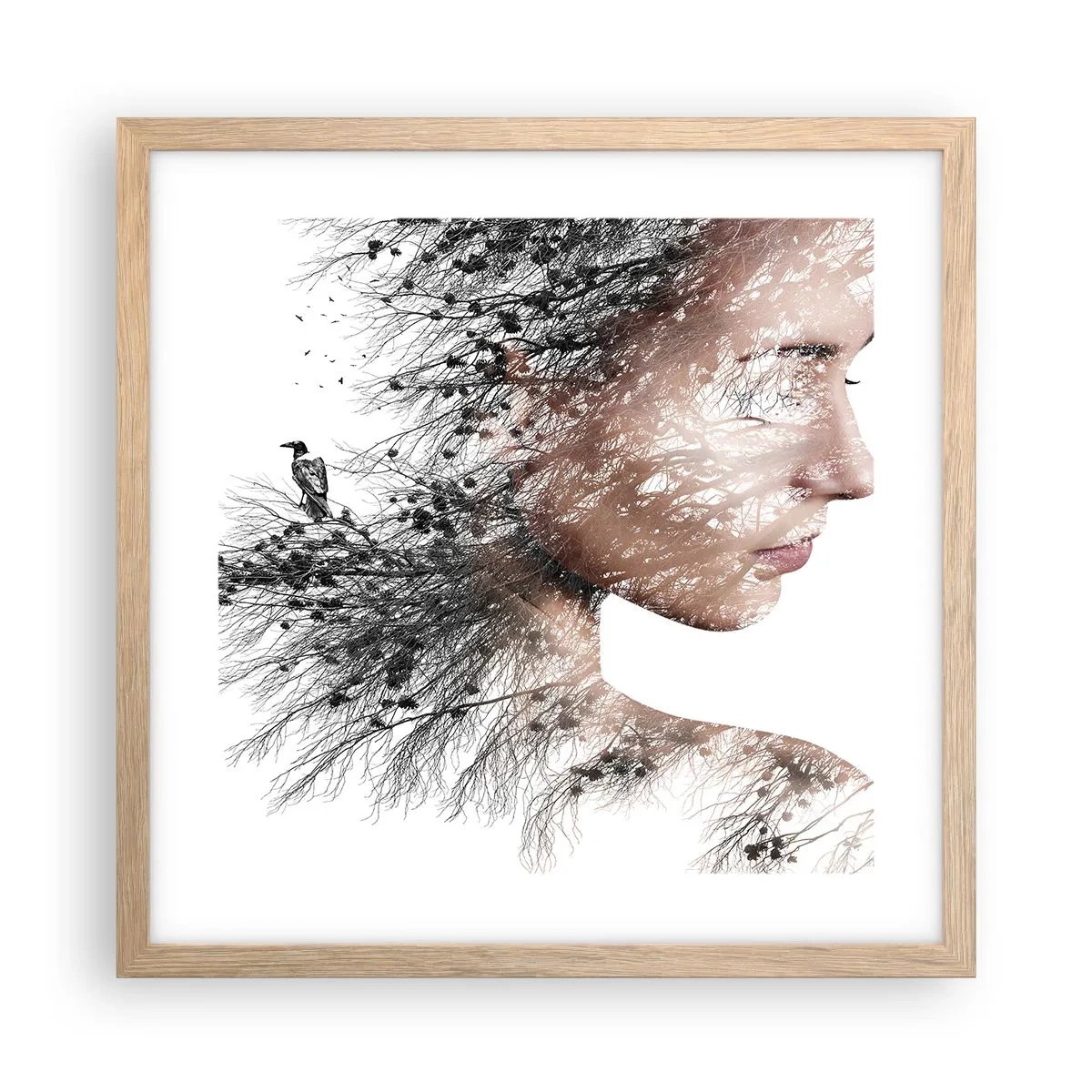 Plakat w ramie jasny dąb - Duch lasu - 40x40 cm