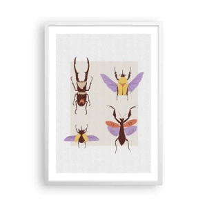 Plakat w białej ramie - Owadzi świat - 50x70 cm