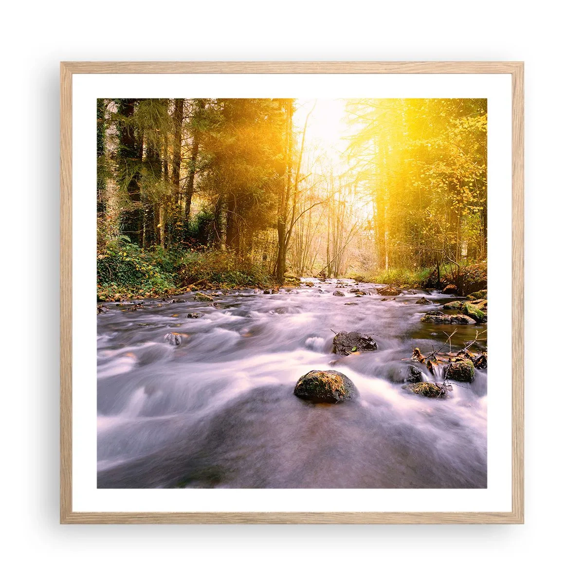 Plakat w ramie jasny dąb - Malachit w srebrno-złotej oprawie - 60x60 cm