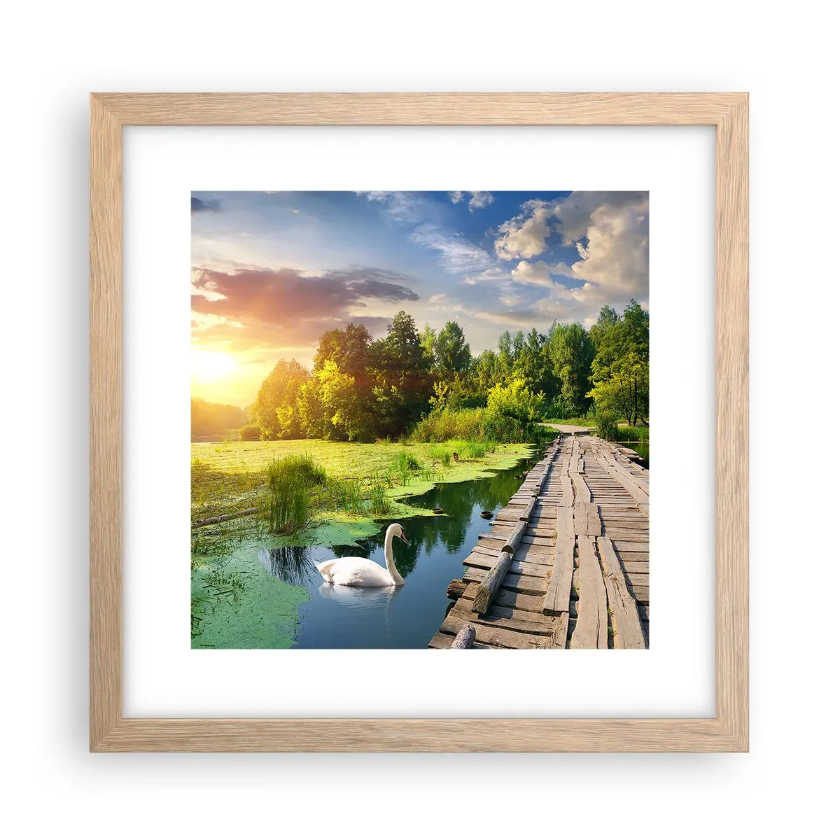 Plakat w ramie jasny dąb - Lato, lato wszędzie - 30x30 cm