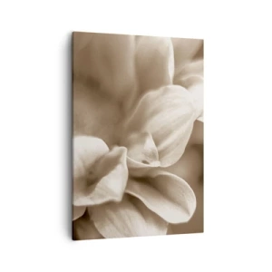 Obraz na płótnie - Zbliżenie na płatki kwiatu w odcieniach sepii - 50x70cm - Łagodne jak uśmiech - Nowoczesna dekoracja ścienna do salonu, kuchni i sypialni ARTTOR
