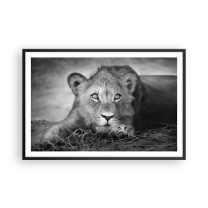 Plakat w czarnej ramie - Królewskie szczenię - 91x61 cm
